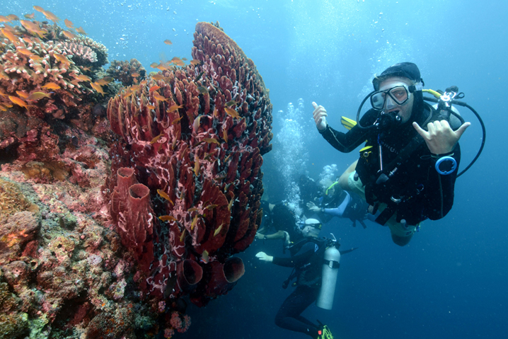 Padi-Course_4
