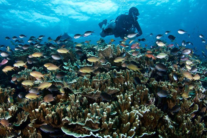 Pescador-Island-Diving