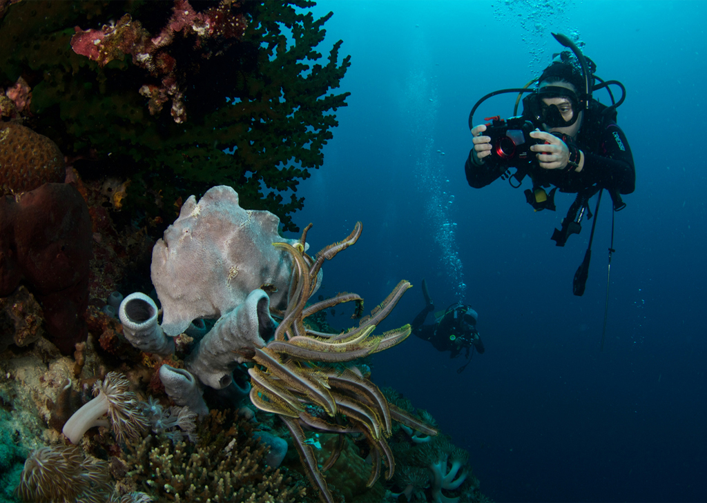 Pescador-Island